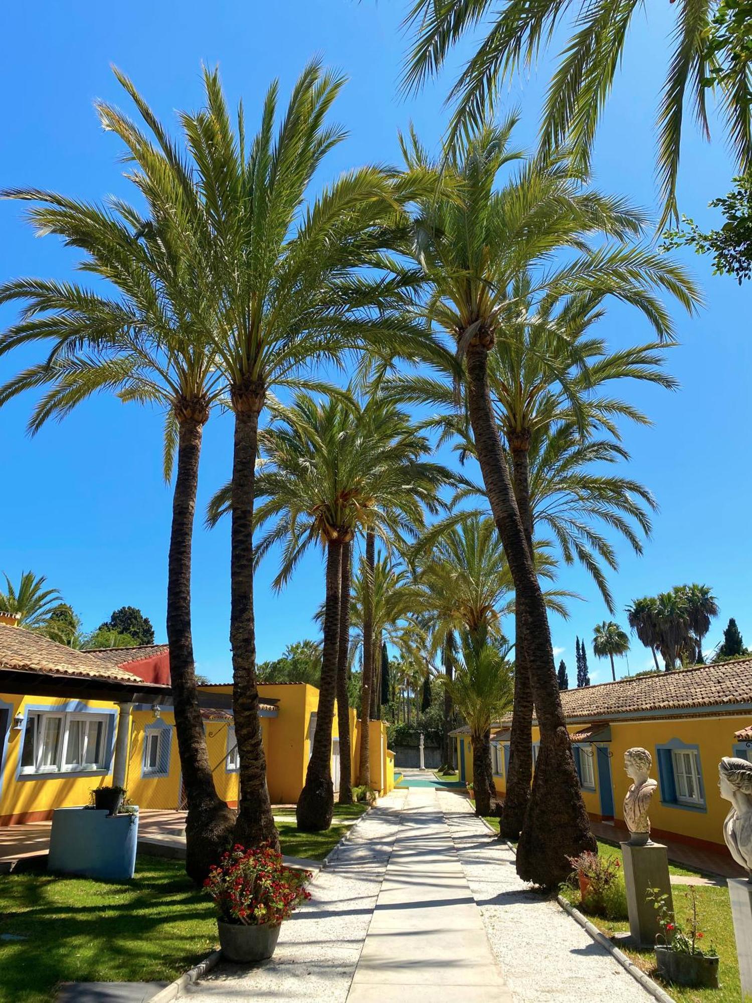 Апартаменты Cortijo La Saleta Banus Марбелья Экстерьер фото
